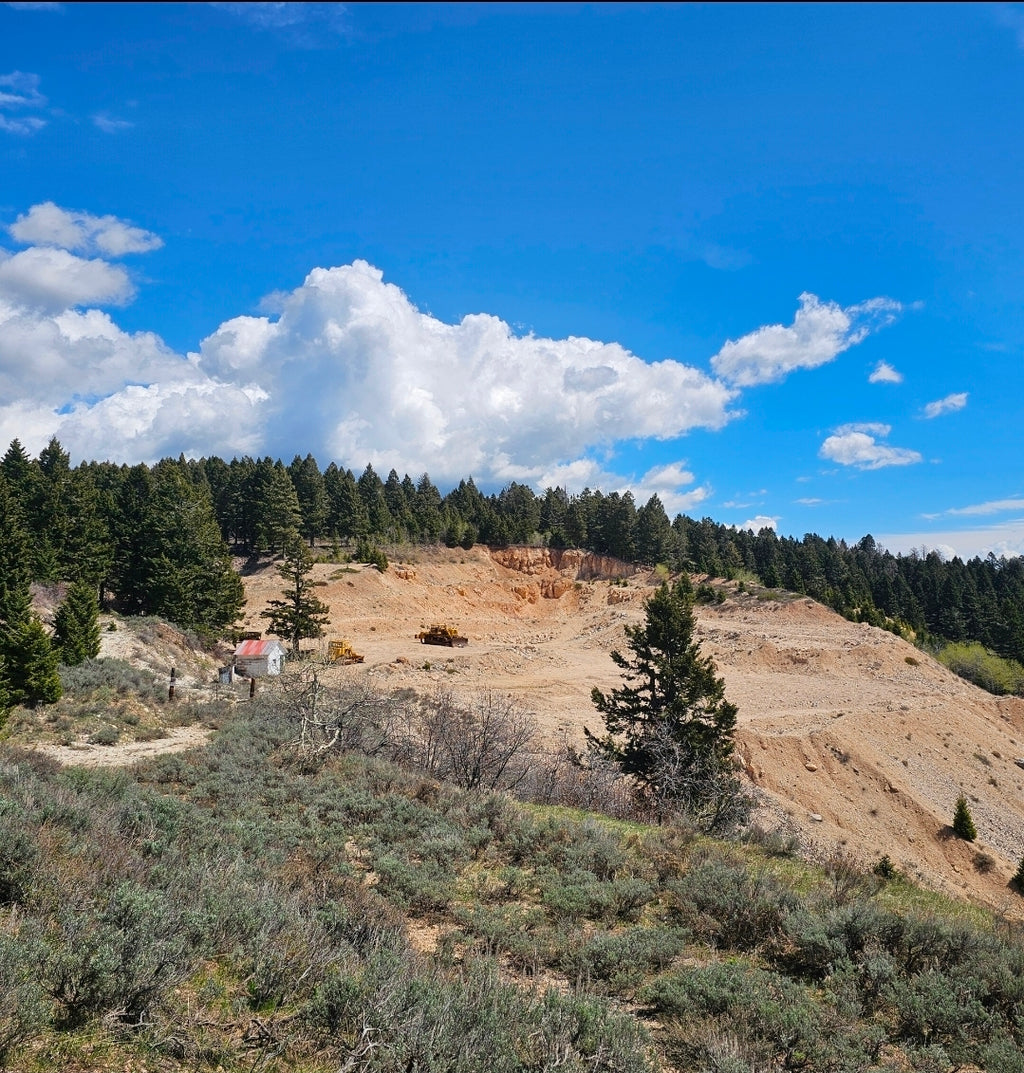Mine Experience/Dig Reservation (August 7th)