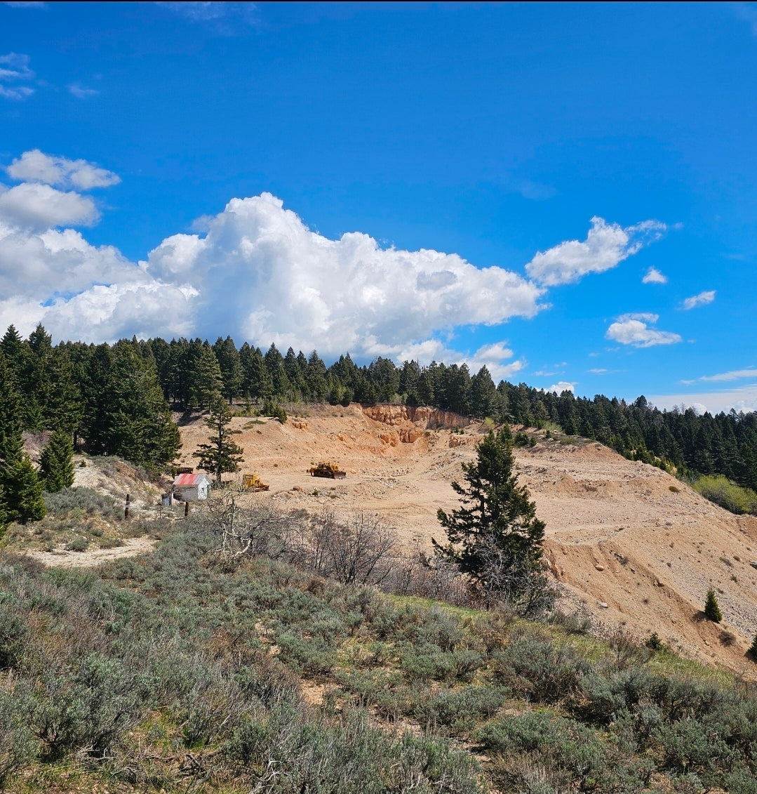Mine Experience/Dig Reservation (August 21st)